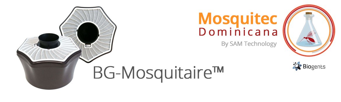 BG-Mosquitaire